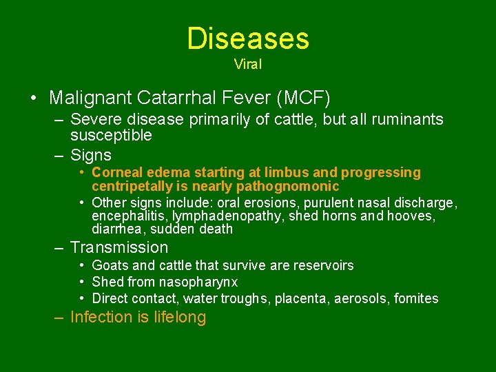 Diseases Viral • Malignant Catarrhal Fever (MCF) – Severe disease primarily of cattle, but