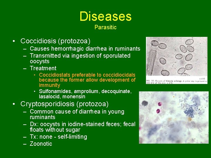 Diseases Parasitic • Coccidiosis (protozoa) – Causes hemorrhagic diarrhea in ruminants – Transmitted via