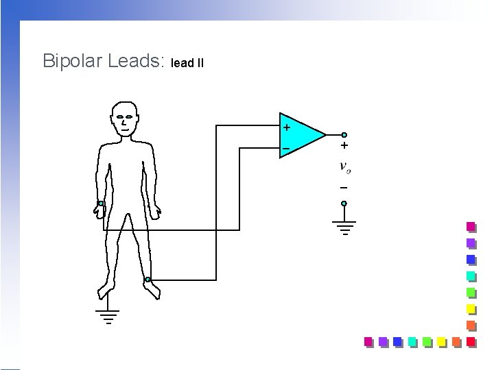 Bipolar Leads: lead II + _ Bipolar Leads: lead II + _
