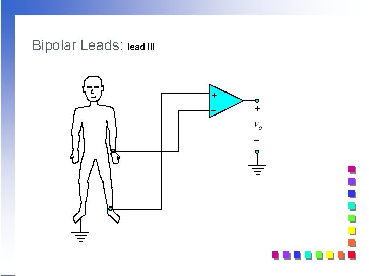 Bipolar Leads: lead III + _ Bipolar Leads: lead III + _
