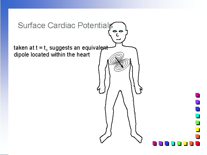 Surface Cardiac Potentials taken at t = to suggests an equivalent dipole located within Surface Cardiac Potentials taken at t = to suggests an equivalent dipole located within