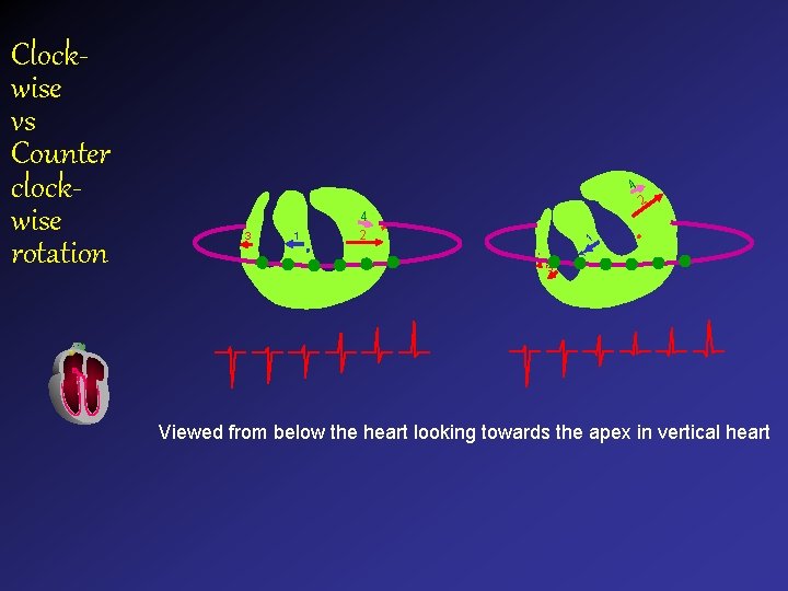 Clockwise vs Counter clockwise rotation 4 1 1 3 3 24 2 4 4 Clockwise vs Counter clockwise rotation 4 1 1 3 3 24 2 4 4