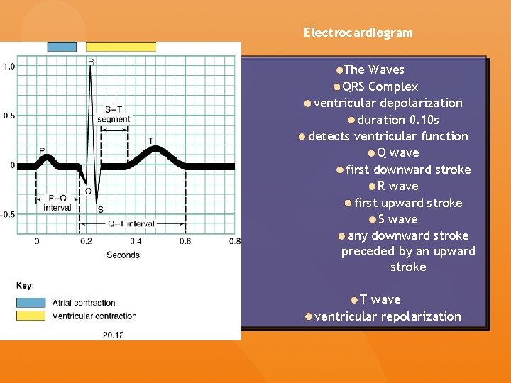 Electrocardiogram The Waves QRS Complex ventricular depolarization duration 0. 10 s detects ventricular function Electrocardiogram The Waves QRS Complex ventricular depolarization duration 0. 10 s detects ventricular function