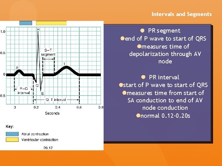 Intervals and Segments PR segment end of P wave to start of QRS measures Intervals and Segments PR segment end of P wave to start of QRS measures