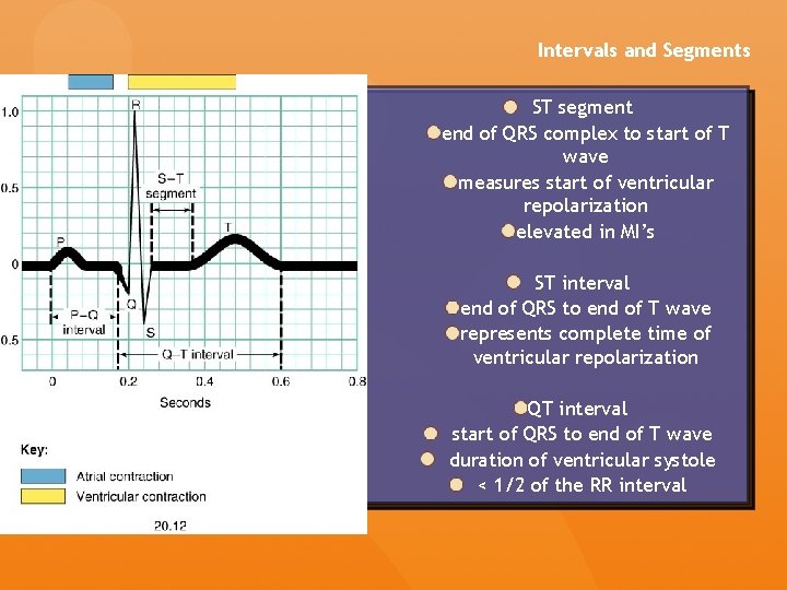 Intervals and Segments ST segment end of QRS complex to start of T wave Intervals and Segments ST segment end of QRS complex to start of T wave