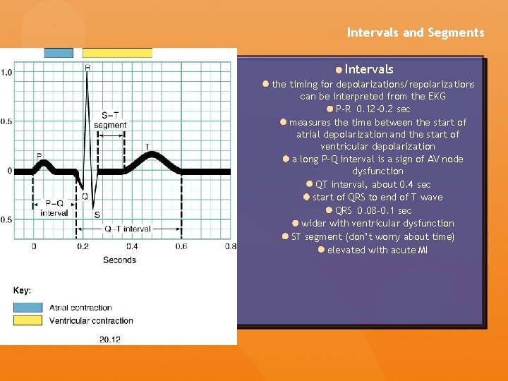 Intervals and Segments Intervals the timing for depolarizations/repolarizations can be interpreted from the EKG Intervals and Segments Intervals the timing for depolarizations/repolarizations can be interpreted from the EKG