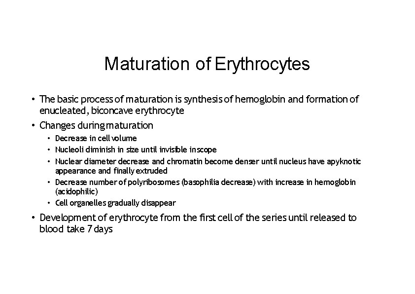 Maturation of Erythrocytes • The basic process of maturation is synthesis of hemoglobin and