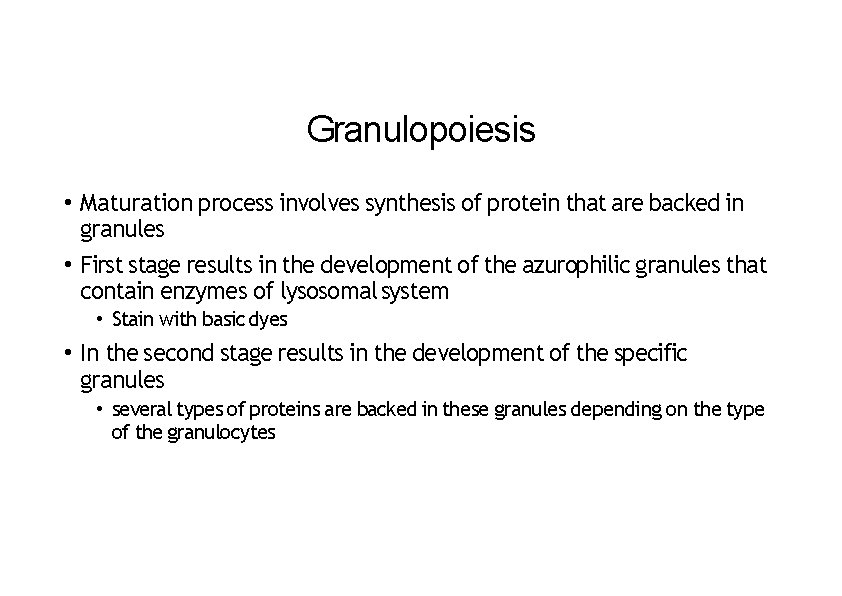 Granulopoiesis • Maturation process involves synthesis of protein that are backed in granules •