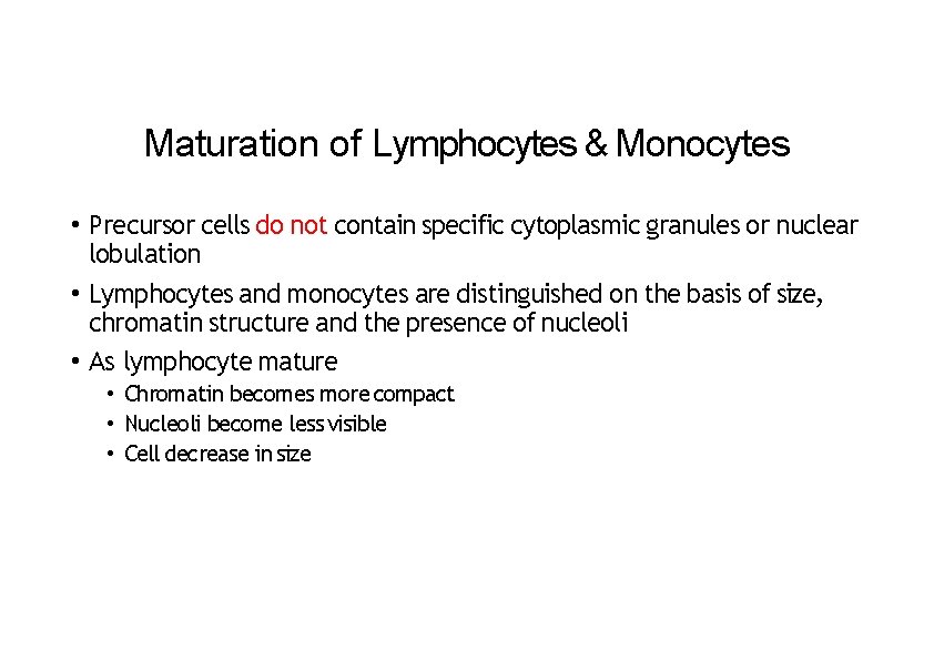 Maturation of Lymphocytes & Monocytes • Precursor cells do not contain specific cytoplasmic granules