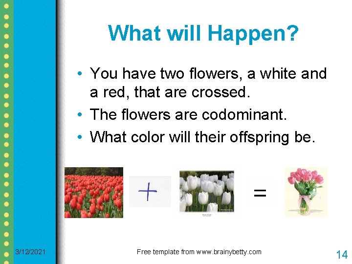 What will Happen? • You have two flowers, a white and a red, that What will Happen? • You have two flowers, a white and a red, that