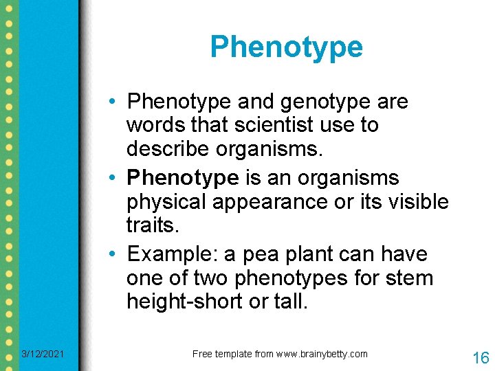 Phenotype • Phenotype and genotype are words that scientist use to describe organisms. • Phenotype • Phenotype and genotype are words that scientist use to describe organisms. •