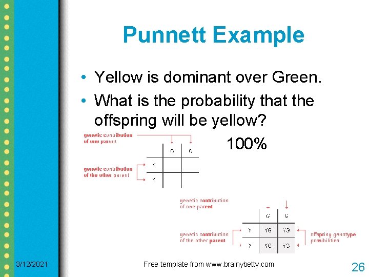 Punnett Example • Yellow is dominant over Green. • What is the probability that Punnett Example • Yellow is dominant over Green. • What is the probability that