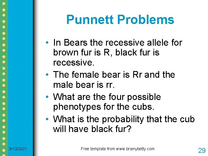 Punnett Problems • In Bears the recessive allele for brown fur is R, black Punnett Problems • In Bears the recessive allele for brown fur is R, black