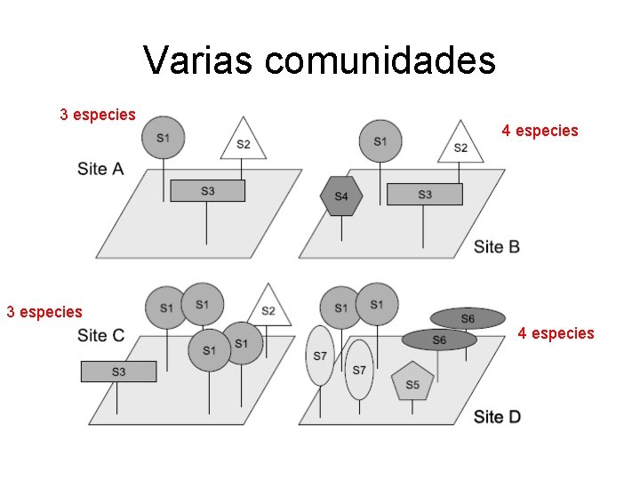 Varias comunidades 3 especies 4 especies Varias comunidades 3 especies 4 especies