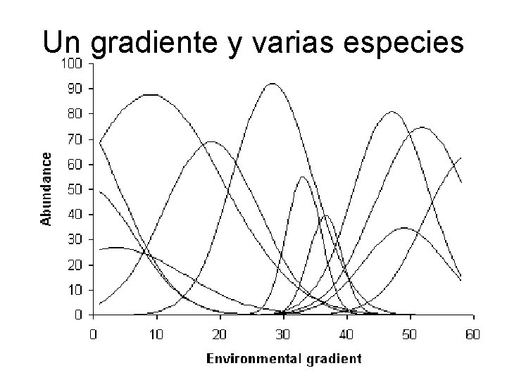Un gradiente y varias especies Un gradiente y varias especies
