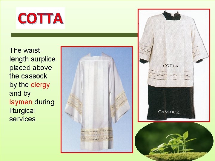COTTA The waistlength surplice placed above the cassock by the clergy and by laymen COTTA The waistlength surplice placed above the cassock by the clergy and by laymen
