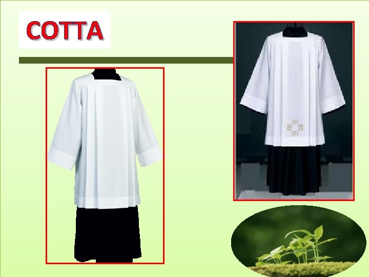 COTTA COTTA