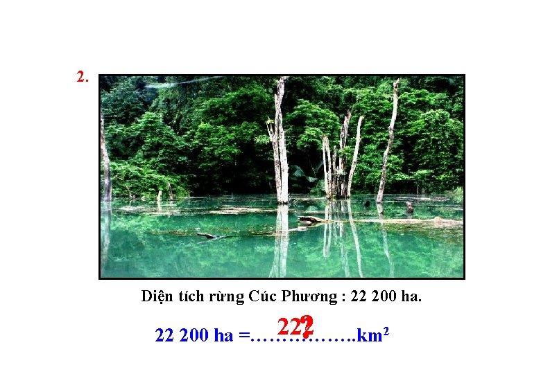 2. Diện tích rừng Cúc Phương : 22 200 ha. ? 222 200 ha