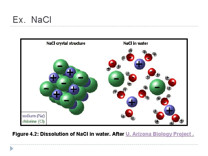 Ex. Na. Cl Figure 4. 2: Dissolution of Na. Cl in water. After U. Ex. Na. Cl Figure 4. 2: Dissolution of Na. Cl in water. After U.