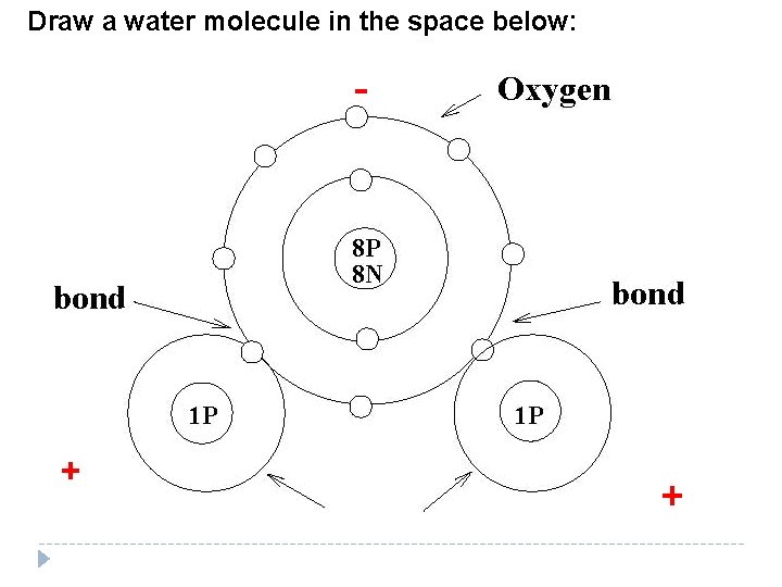 Draw a water molecule in the space below: - + + Draw a water molecule in the space below: - + +