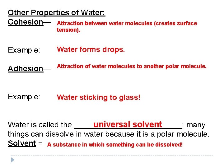Other Properties of Water: Cohesion— Attraction between water molecules (creates surface tension). Water forms Other Properties of Water: Cohesion— Attraction between water molecules (creates surface tension). Water forms