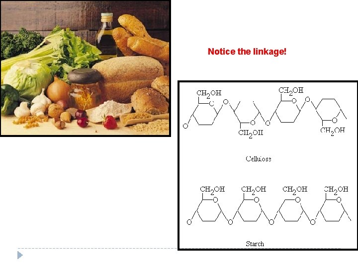 Notice the linkage! Notice the linkage!
