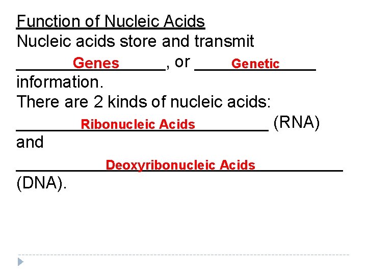 Function of Nucleic Acids Nucleic acids store and transmit ________, or _______ Genetic Genes Function of Nucleic Acids Nucleic acids store and transmit ________, or _______ Genetic Genes