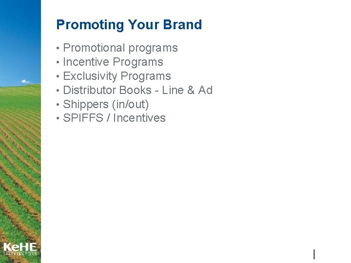 Promoting Your Brand • Promotional programs • Incentive Programs • Exclusivity Programs • Distributor