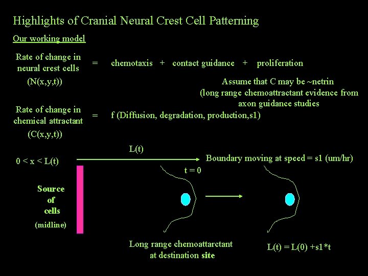 Highlights of Cranial Neural Crest Cell Patterning Our working model Rate of change in Highlights of Cranial Neural Crest Cell Patterning Our working model Rate of change in