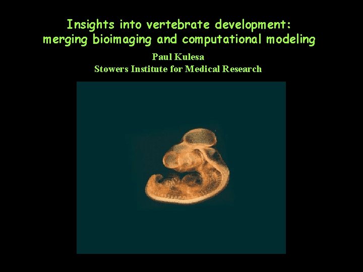 Insights into vertebrate development: merging bioimaging and computational modeling Paul Kulesa Stowers Institute for