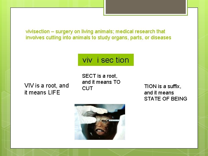 vivisection – surgery on living animals; medical research that involves cutting into animals to