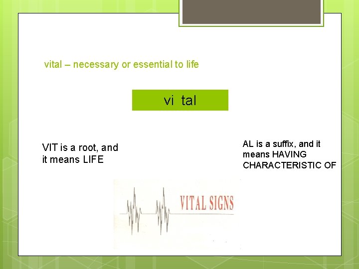 vital – necessary or essential to life vitaltal vi VIT is a root, and