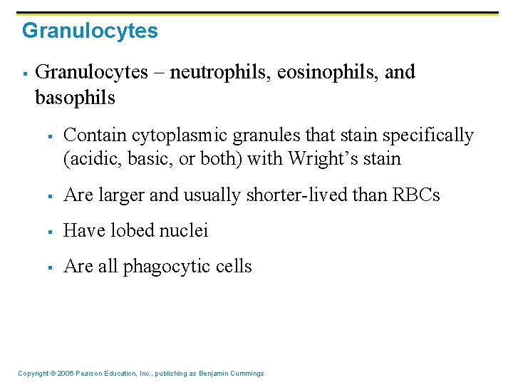 Granulocytes § Granulocytes – neutrophils, eosinophils, and basophils § Contain cytoplasmic granules that stain Granulocytes § Granulocytes – neutrophils, eosinophils, and basophils § Contain cytoplasmic granules that stain