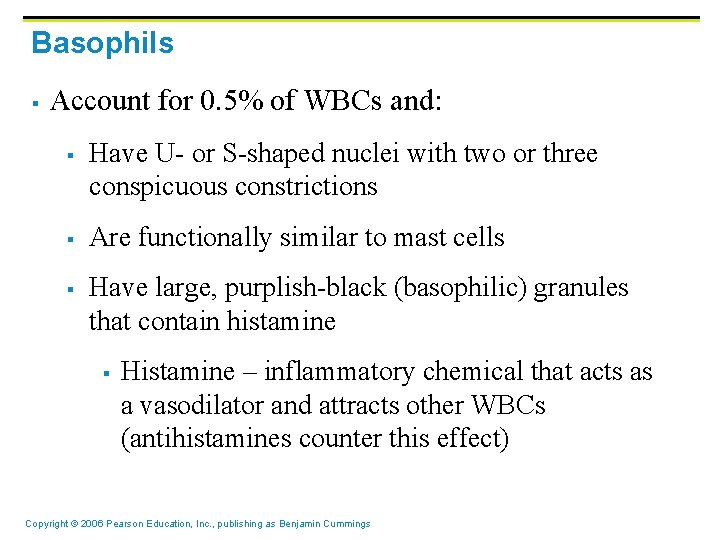 Basophils § Account for 0. 5% of WBCs and: § § § Have U- Basophils § Account for 0. 5% of WBCs and: § § § Have U-