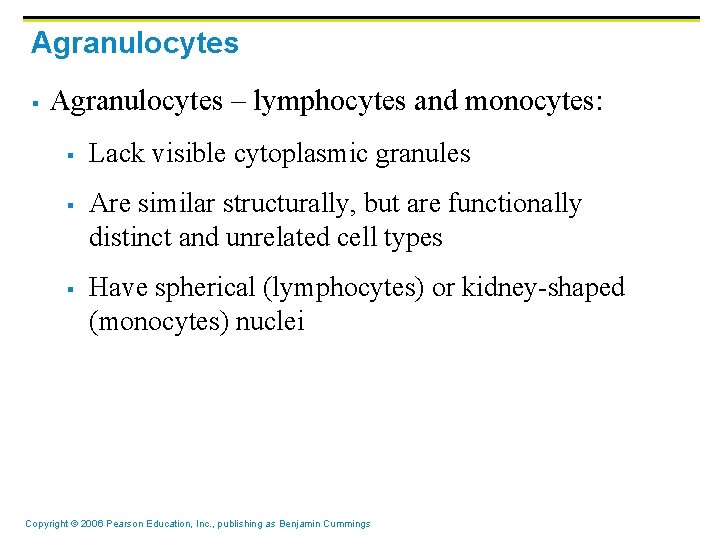 Agranulocytes § Agranulocytes – lymphocytes and monocytes: § § § Lack visible cytoplasmic granules Agranulocytes § Agranulocytes – lymphocytes and monocytes: § § § Lack visible cytoplasmic granules