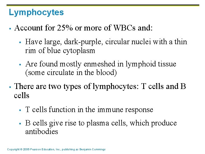 Lymphocytes § Account for 25% or more of WBCs and: § § § Have Lymphocytes § Account for 25% or more of WBCs and: § § § Have