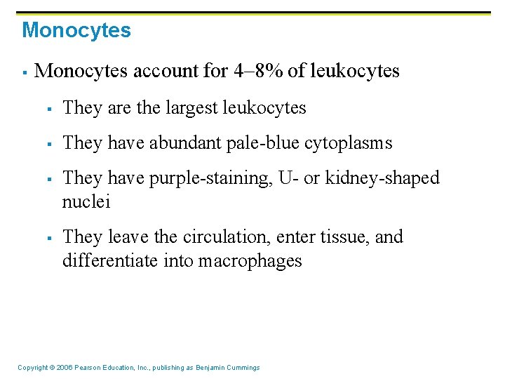 Monocytes § Monocytes account for 4– 8% of leukocytes § They are the largest Monocytes § Monocytes account for 4– 8% of leukocytes § They are the largest