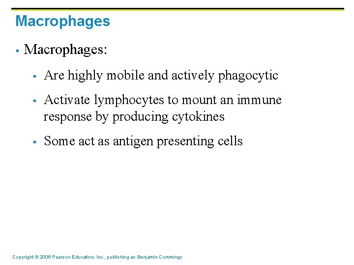 Macrophages § Macrophages: § § § Are highly mobile and actively phagocytic Activate lymphocytes Macrophages § Macrophages: § § § Are highly mobile and actively phagocytic Activate lymphocytes
