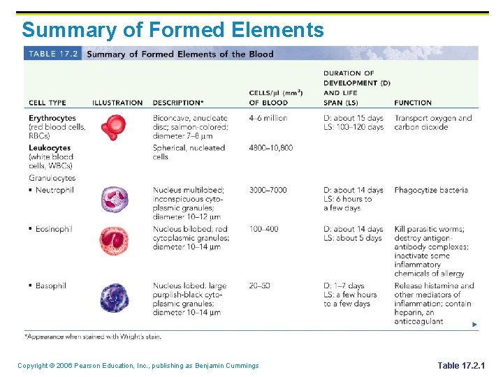 Summary of Formed Elements Copyright © 2006 Pearson Education, Inc. , publishing as Benjamin Summary of Formed Elements Copyright © 2006 Pearson Education, Inc. , publishing as Benjamin