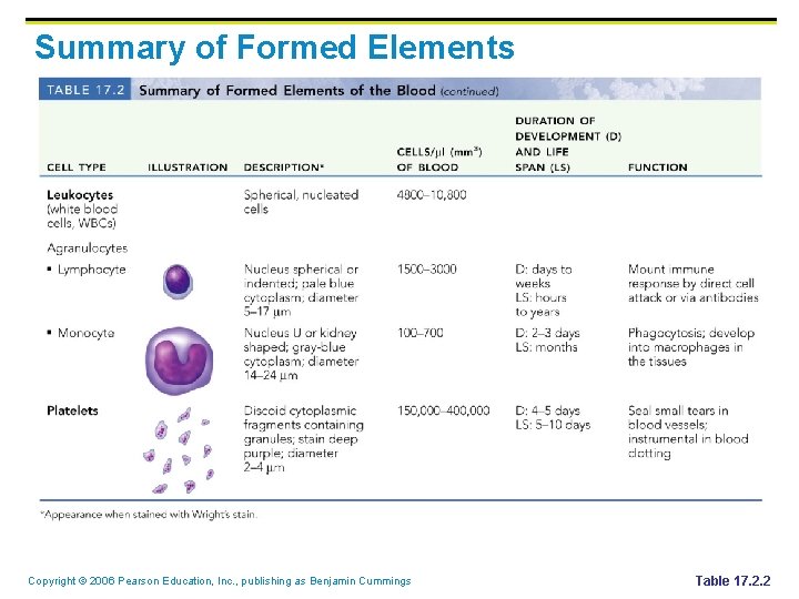 Summary of Formed Elements Copyright © 2006 Pearson Education, Inc. , publishing as Benjamin Summary of Formed Elements Copyright © 2006 Pearson Education, Inc. , publishing as Benjamin
