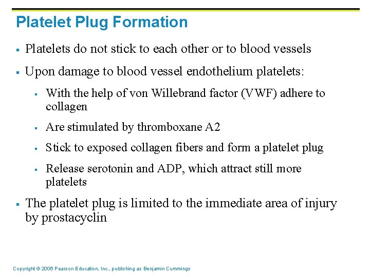 Platelet Plug Formation § Platelets do not stick to each other or to blood Platelet Plug Formation § Platelets do not stick to each other or to blood