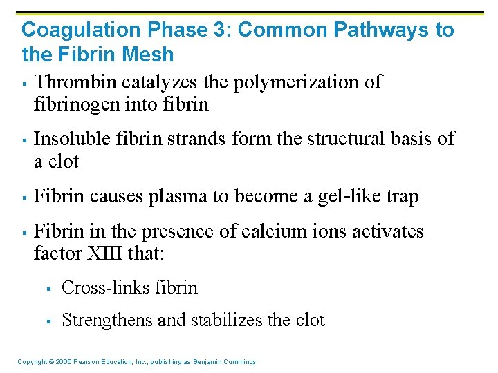 Coagulation Phase 3: Common Pathways to the Fibrin Mesh § Thrombin catalyzes the polymerization Coagulation Phase 3: Common Pathways to the Fibrin Mesh § Thrombin catalyzes the polymerization