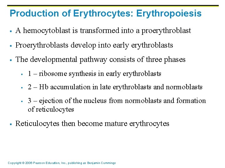 Production of Erythrocytes: Erythropoiesis § A hemocytoblast is transformed into a proerythroblast § Proerythroblasts Production of Erythrocytes: Erythropoiesis § A hemocytoblast is transformed into a proerythroblast § Proerythroblasts