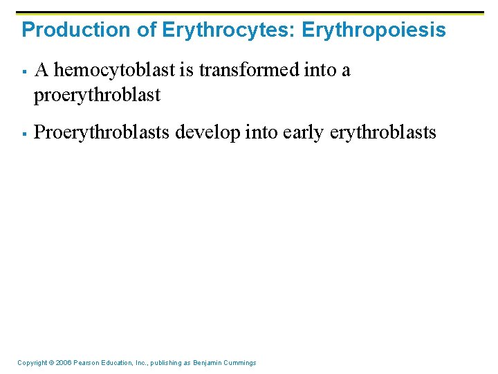 Production of Erythrocytes: Erythropoiesis § § A hemocytoblast is transformed into a proerythroblast Proerythroblasts Production of Erythrocytes: Erythropoiesis § § A hemocytoblast is transformed into a proerythroblast Proerythroblasts