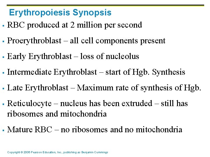 § Erythropoiesis Synopsis RBC produced at 2 million per second § Proerythroblast – all § Erythropoiesis Synopsis RBC produced at 2 million per second § Proerythroblast – all