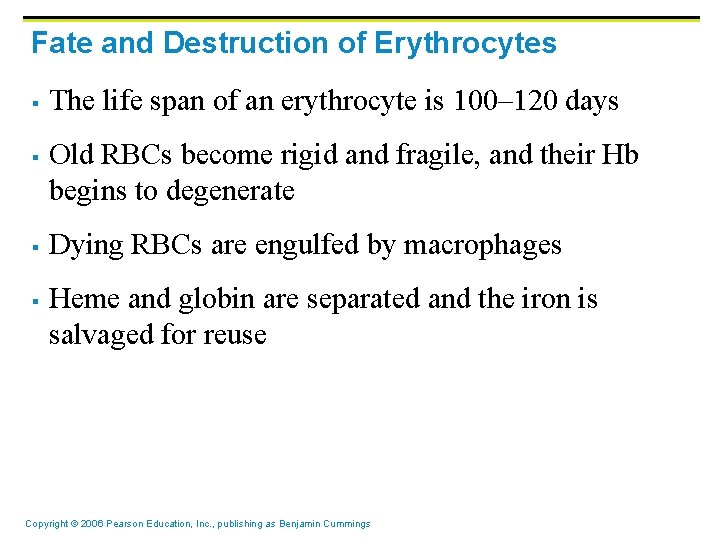 Fate and Destruction of Erythrocytes § § The life span of an erythrocyte is Fate and Destruction of Erythrocytes § § The life span of an erythrocyte is
