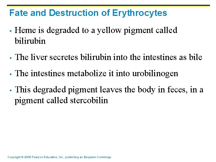 Fate and Destruction of Erythrocytes § Heme is degraded to a yellow pigment called Fate and Destruction of Erythrocytes § Heme is degraded to a yellow pigment called