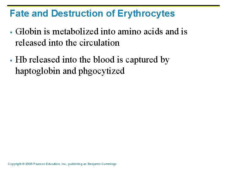 Fate and Destruction of Erythrocytes § § Globin is metabolized into amino acids and Fate and Destruction of Erythrocytes § § Globin is metabolized into amino acids and