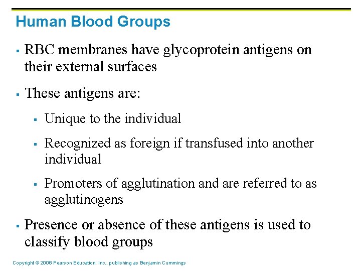 Human Blood Groups § § RBC membranes have glycoprotein antigens on their external surfaces Human Blood Groups § § RBC membranes have glycoprotein antigens on their external surfaces