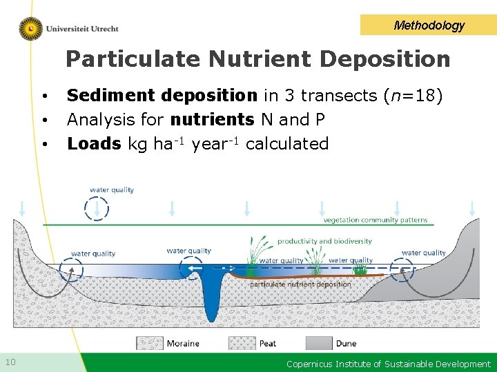 Methodology Particulate Nutrient Deposition • • • 10 Sediment deposition in 3 transects (n=18)